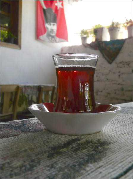 20110605182008_histoire_et_tulipe 20110605182008_histoire_et_tulipe