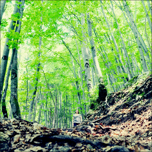 20110605135433_enfoncement 20110605135433_enfoncement