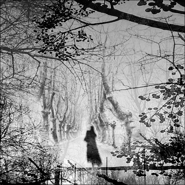 20110602131935_arbrnb 20110602131935_arbrnb