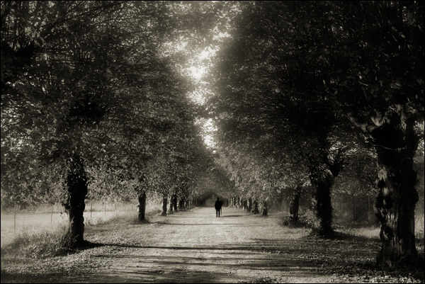 20110606145516_soir 20110606145516_soir