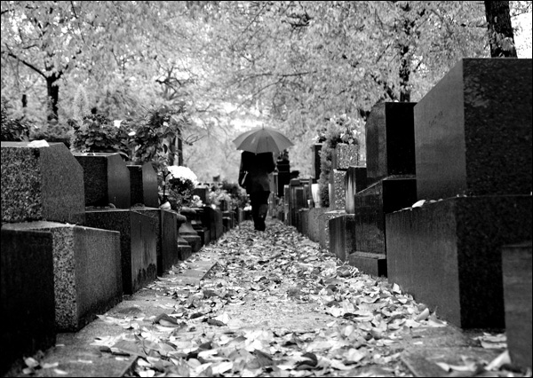 20110606174533_montparnasse 20110606174533_montparnasse