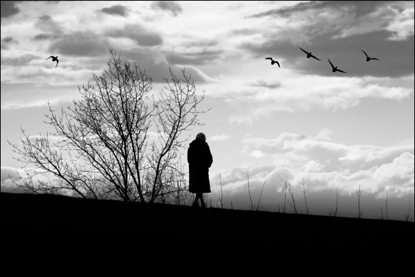 20110606213157_life_by_herman 20110606213157_life_by_herman