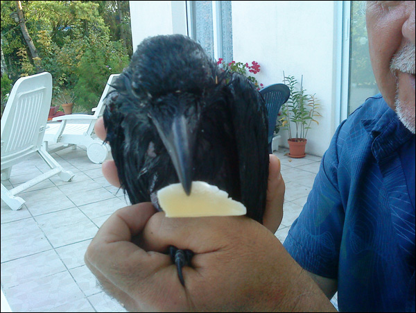 20110606153511_dsc00681 20110606153511_dsc00681