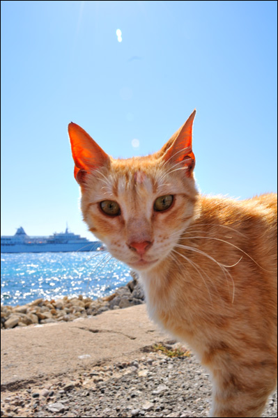 20110606183759_dsc_5003 20110606183759_dsc_5003