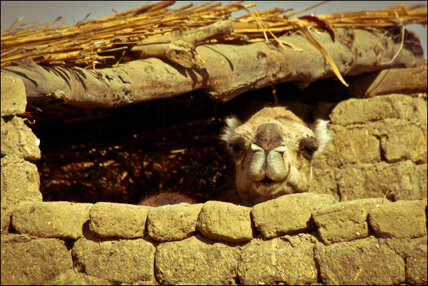 20110606223514_bienvenue_chez_moi 20110606223514_bienvenue_chez_moi