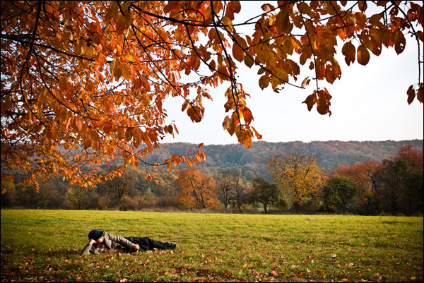 20110609195130_img_4981 20110609195130_img_4981