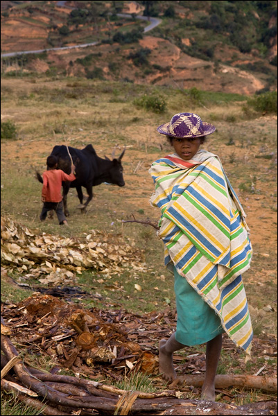 20110609195155_img_8268_modifie_2 20110609195155_img_8268_modifie_2