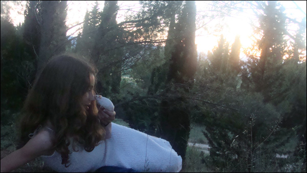 20110609225127_dsc00790 20110609225127_dsc00790