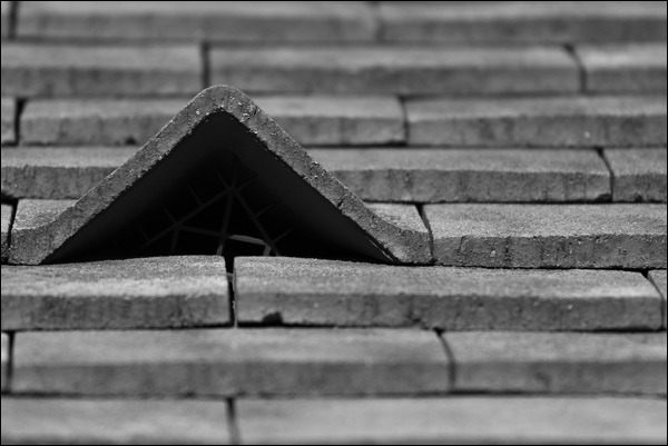 20110609224632_fraizier 20110609224632_fraizier