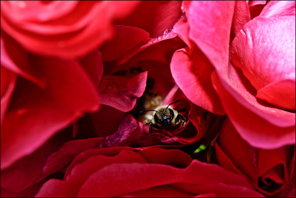 20110609230558_6213452 20110609230558_6213452