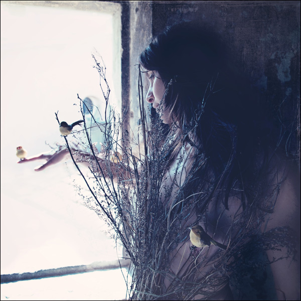 20110609212211_home_sweet_home 20110609212211_home_sweet_home