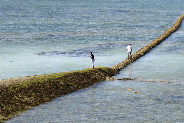 20110729193449_img_1794br 20110729193449_img_1794br