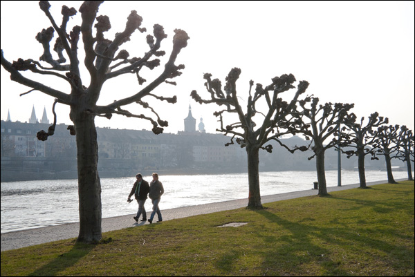 20110805162015_b_mg_2095_2 20110805162015_b_mg_2095_2