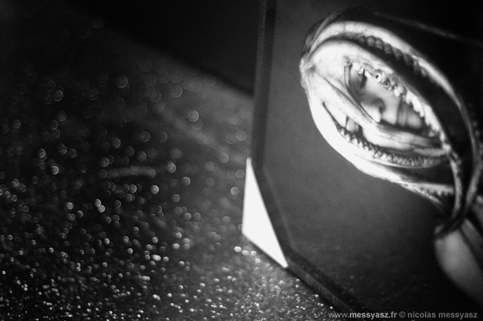 DSC_3681b_NB GR ACC DSC_3681b_NB GR ACC