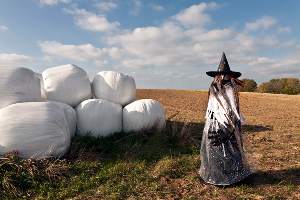 20111127204120__mg_8922 20111127204120__mg_8922