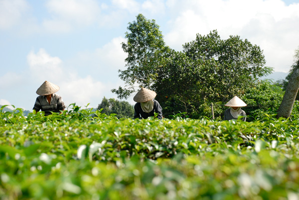 20111125150205_dsc_0270 20111125150205_dsc_0270