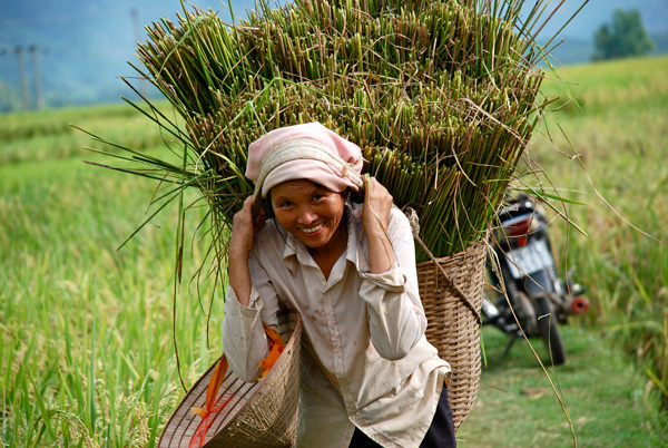 20111125145555_dsc_0244 20111125145555_dsc_0244