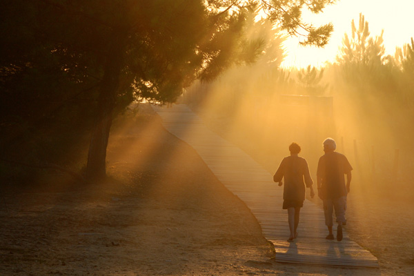 20111125182525_dsc_0602 20111125182525_dsc_0602