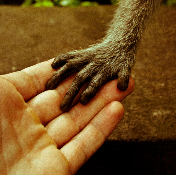 20111129191434_notre_liaison 20111129191434_notre_liaison