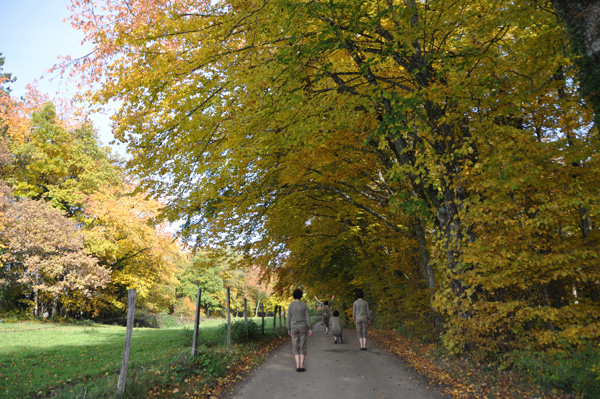 20111203155519_dsc_0919 20111203155519_dsc_0919