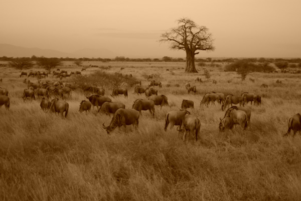 20111212111738_sg104017 20111212111738_sg104017