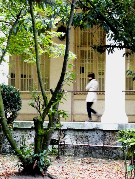 20111212113406_34_sortir_ou_entrer 20111212113406_34_sortir_ou_entrer