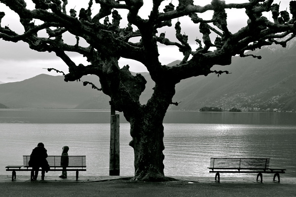 20111212140106_dsc04449 20111212140106_dsc04449