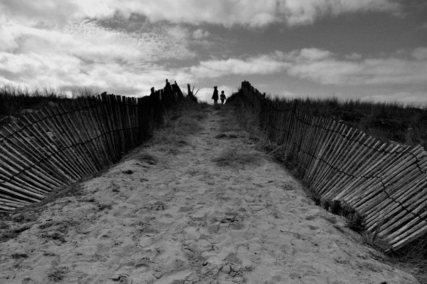 20111212145942__dsc0082 20111212145942__dsc0082