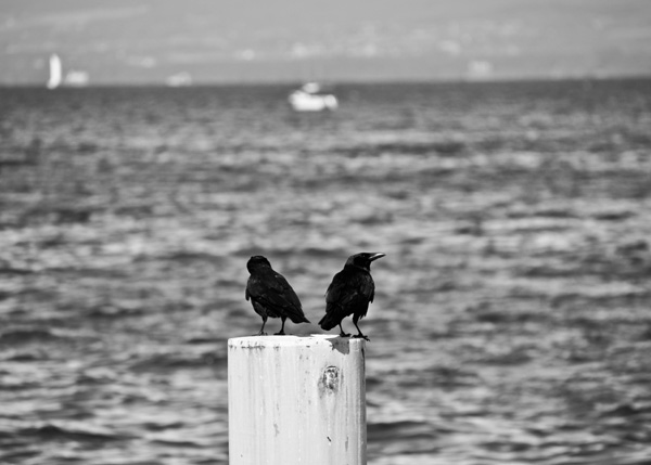 20111212222206_sashin06_36eme 20111212222206_sashin06_36eme