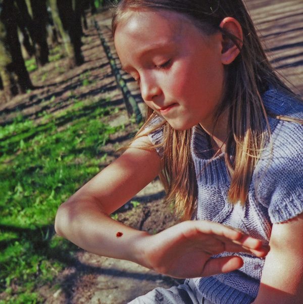 20111212152502_le_36eme_jour_bis 20111212152502_le_36eme_jour_bis