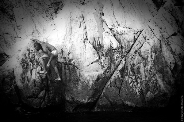 20111212193125_animal 20111212193125_animal