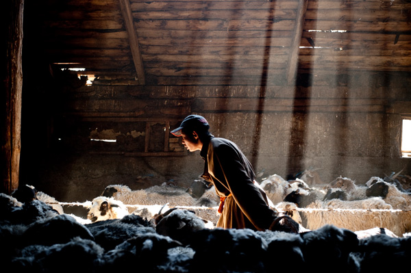 20111212002555_nomadisme_en_perdition_15 20111212002555_nomadisme_en_perdition_15