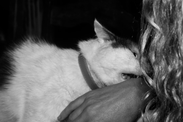 20111214020243__mg_3433 20111214020243__mg_3433