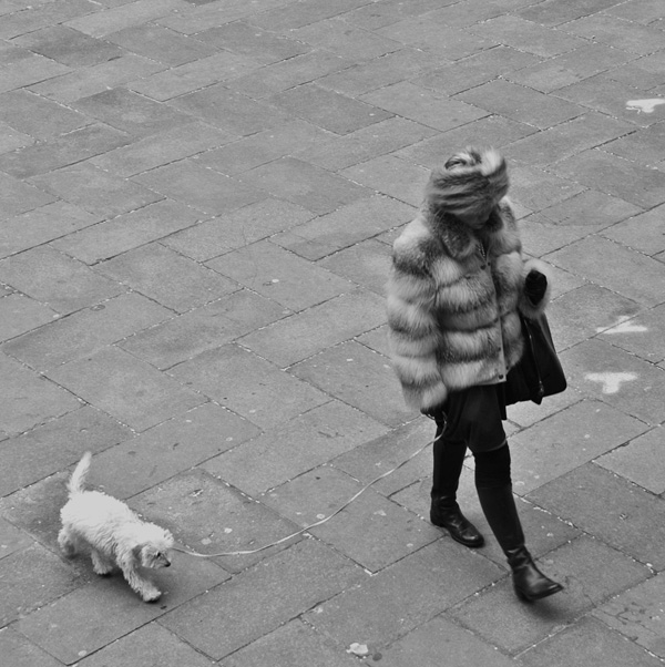 20111213121740_dsc_8651 20111213121740_dsc_8651