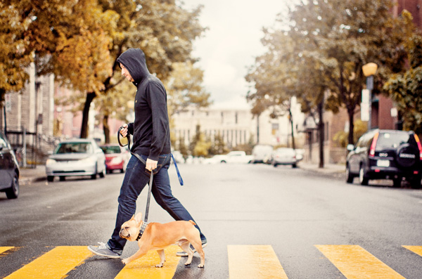 20111214010406_cvisuelle_nicolasj 20111214010406_cvisuelle_nicolasj