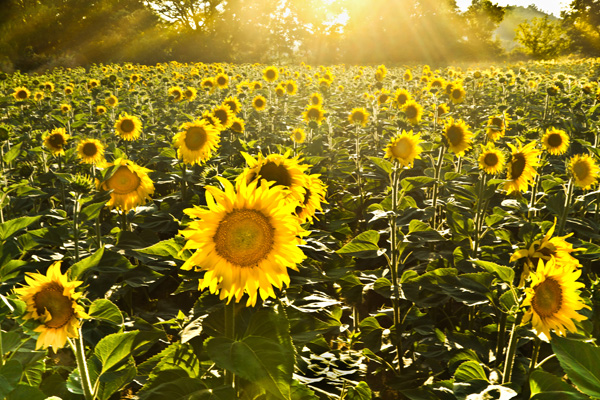 20111215125050_correspondance_visuelle_36_just_like_heaven_jean_philippe_barralis 20111215125050_correspondance_visuelle_36_just_like_heaven_jean_philippe_barralis