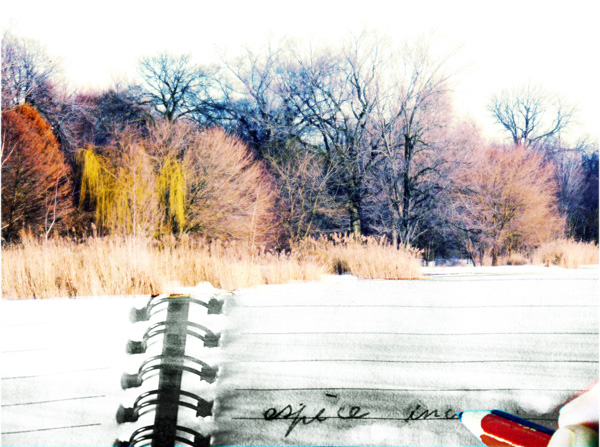 20111215174016_p1050805 20111215174016_p1050805