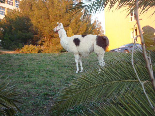 20120130135240_dsc05614 20120130135240_dsc05614