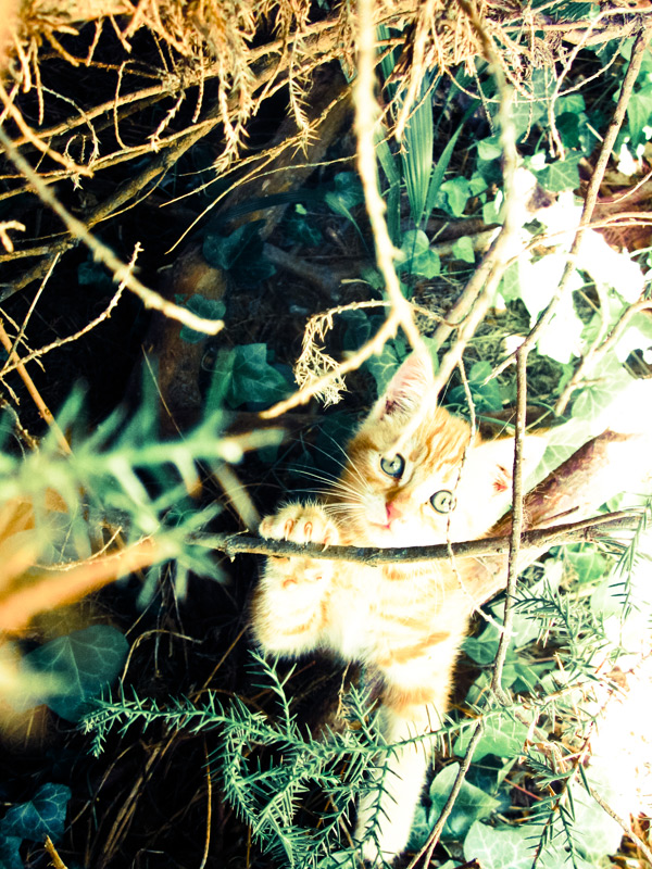 20120130143600_8__3_ 20120130143600_8__3_