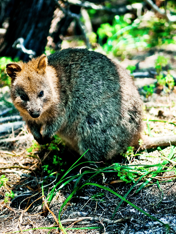 20120130132327__dsc1147 20120130132327__dsc1147