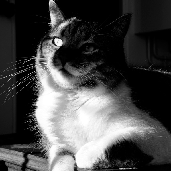 20120130135219__dsc0015 20120130135219__dsc0015