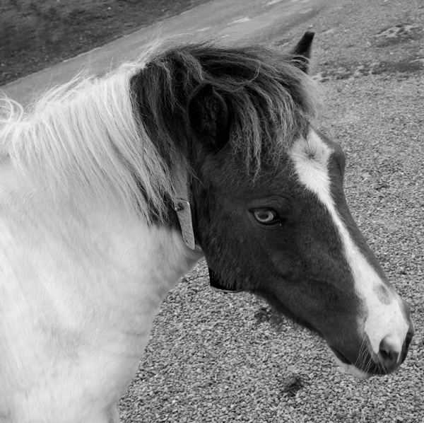 20120130140149_dsc_2171nb1 20120130140149_dsc_2171nb1