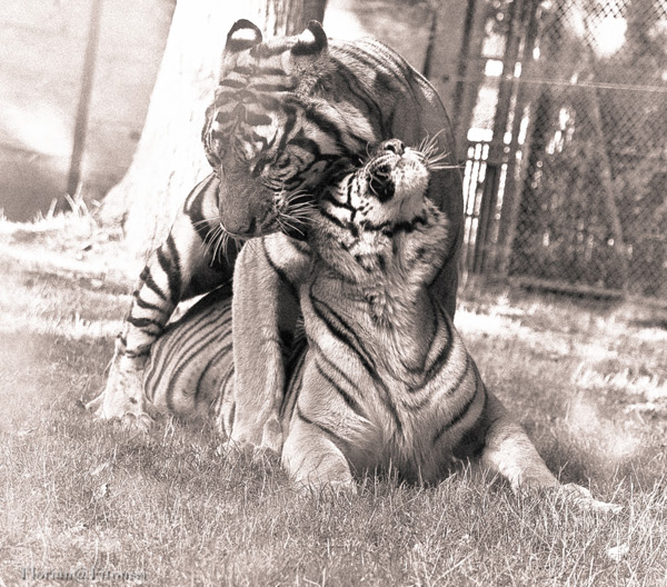 20120130142850_20100913_img_1799 20120130142850_20100913_img_1799