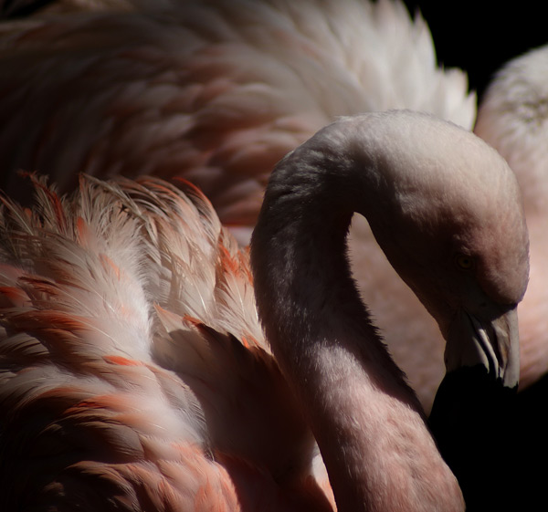 20120130145022_concours01 20120130145022_concours01