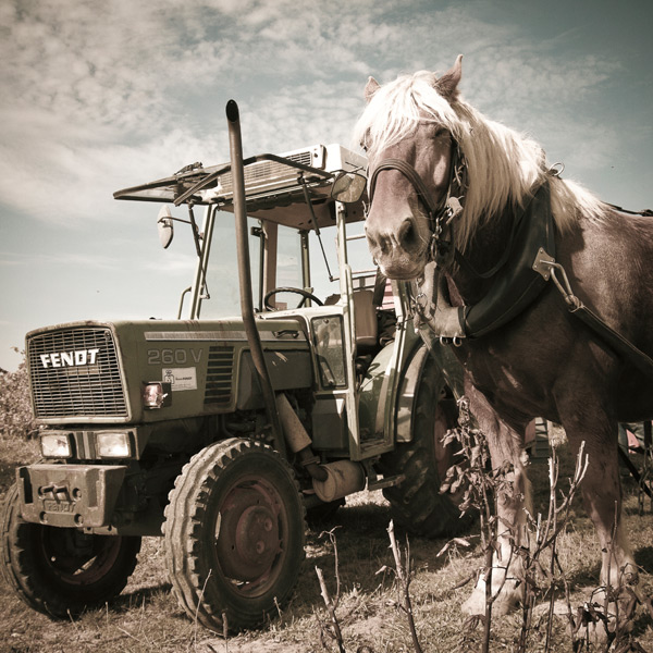 20120130153508_img_4542 20120130153508_img_4542