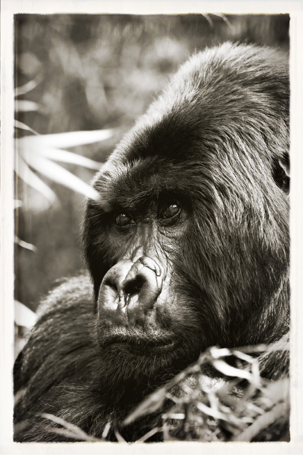 20120130134932__mg_9052_cp 20120130134932__mg_9052_cp