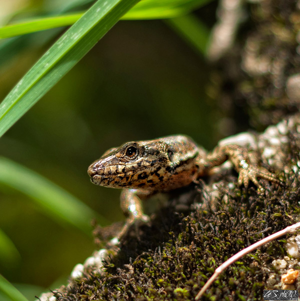 20120130135042_je_vous_ai_a_l_oeil 20120130135042_je_vous_ai_a_l_oeil