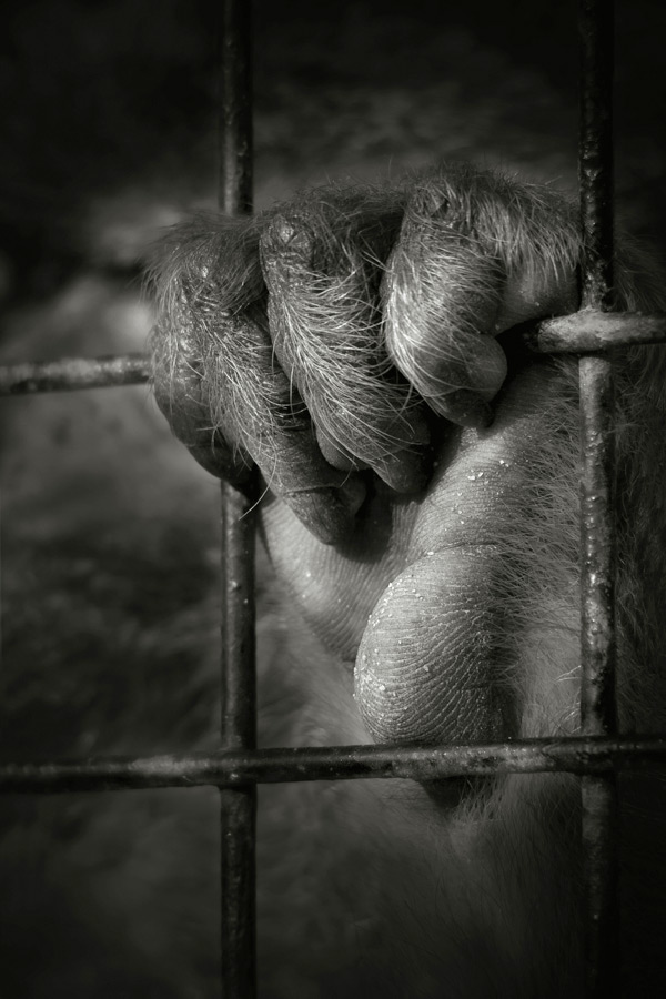 20120130152027_img_grille 20120130152027_img_grille