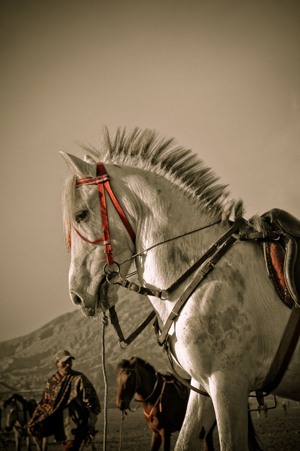 20120130142522_in_front_of_mt_bromo 20120130142522_in_front_of_mt_bromo