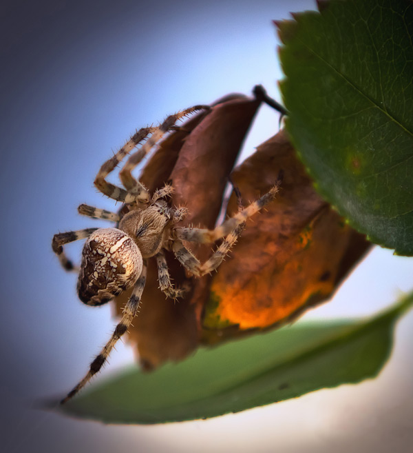 20120130153438_img_0471_conc 20120130153438_img_0471_conc